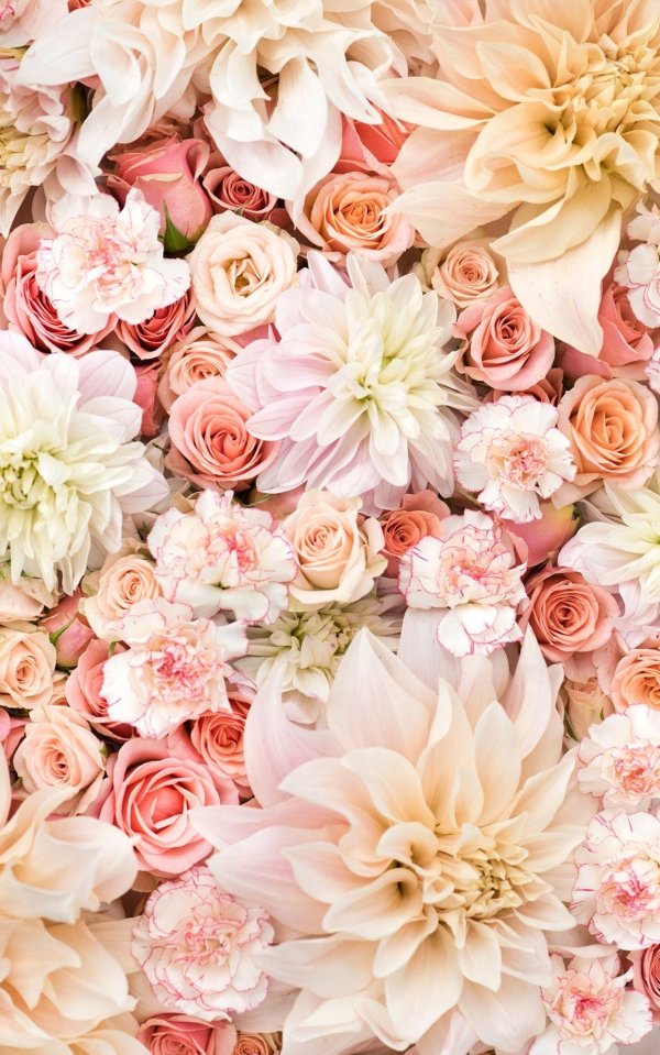 цветочные фоны