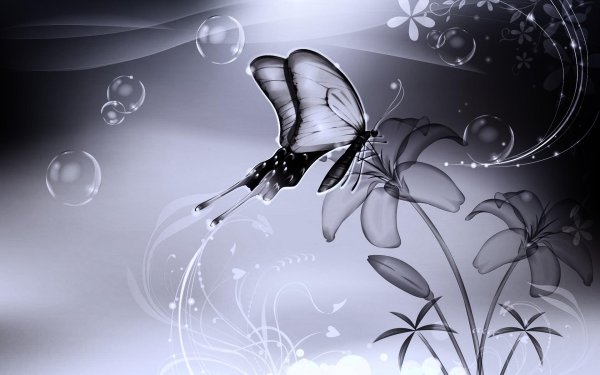 волшебная бабочка