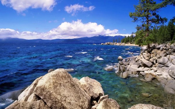 lake tahoe summer