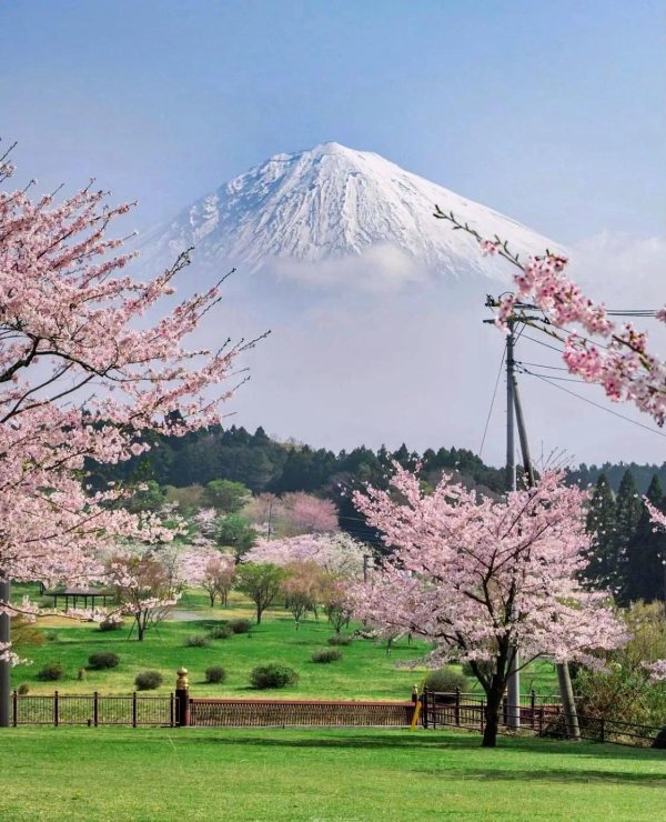 киото фудзияма