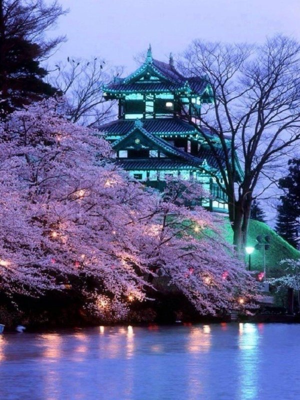 самое красивое место японии