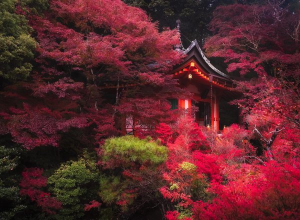 японская природа