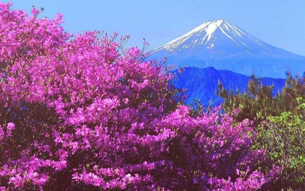 японская гора