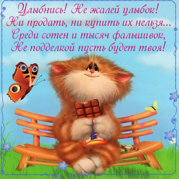 веселые пожелания