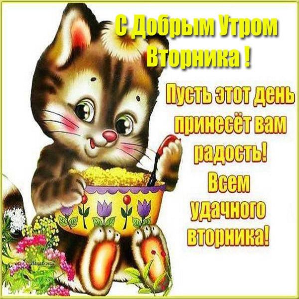 вторника доброго