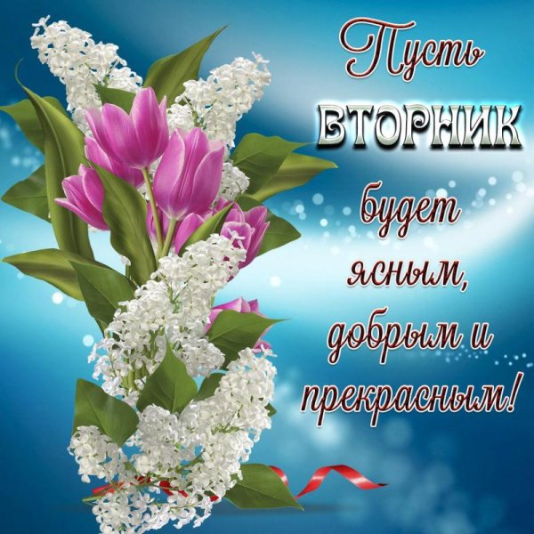 чудесного вторника