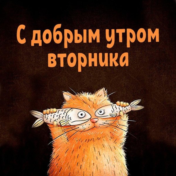 с добрым утром вторника прикольные