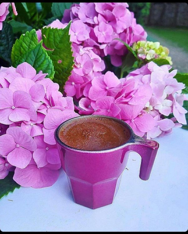 кофе цветок