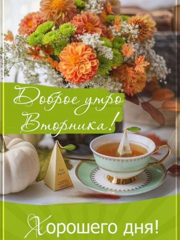 доброе утро вторника осени