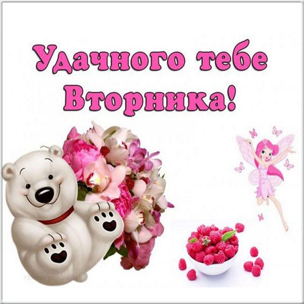 успешного вторника