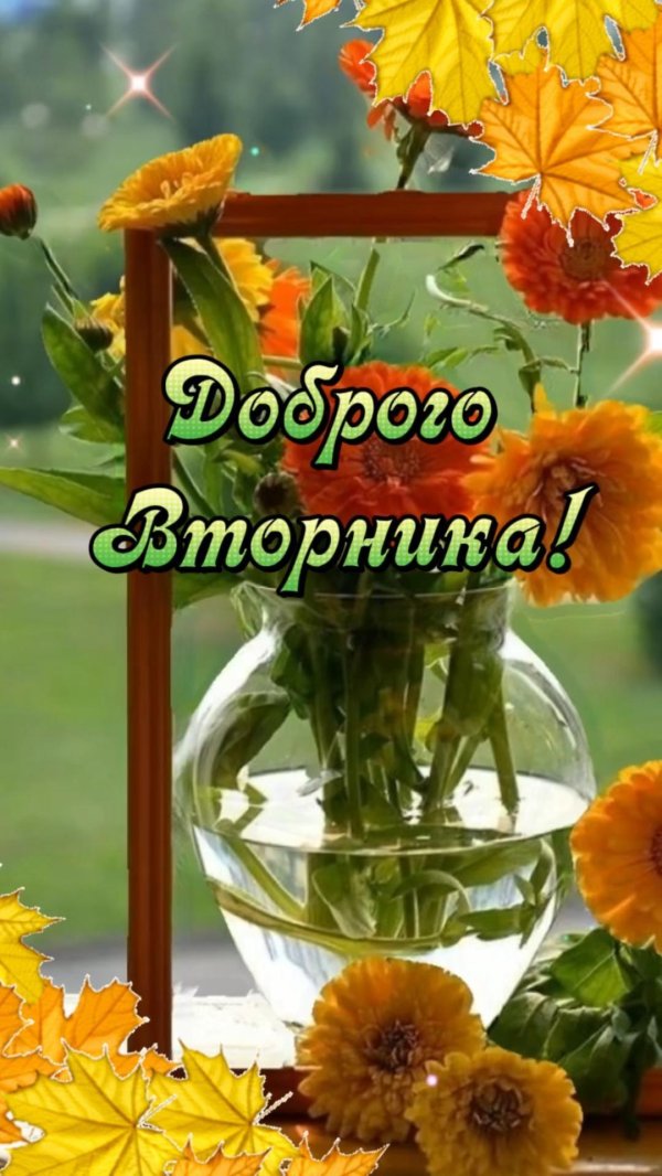 доброе утро вторника осенние