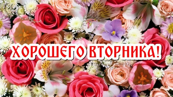 поздравление со вторником