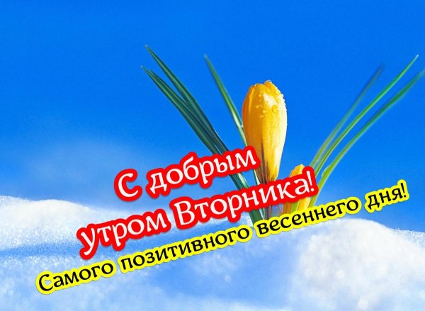 хорошего весеннего дня