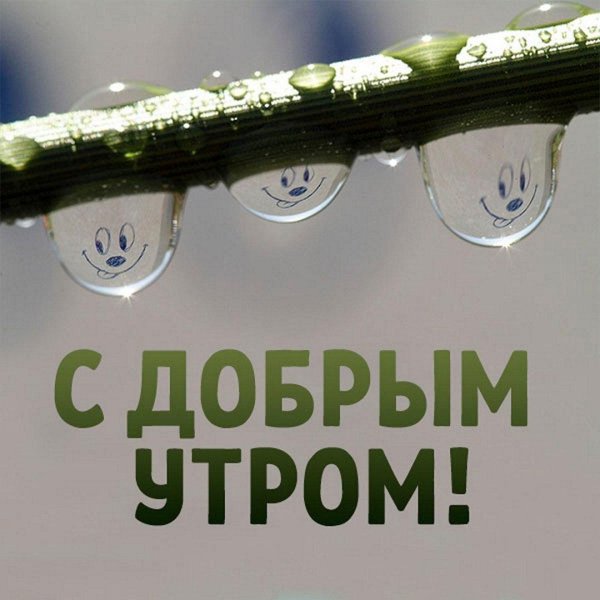 дождь с добрым утром