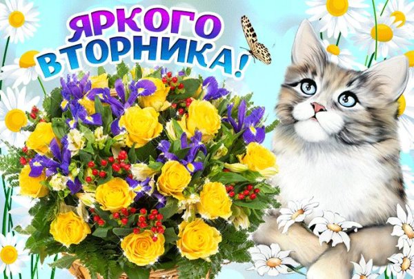 поздравление со вторником