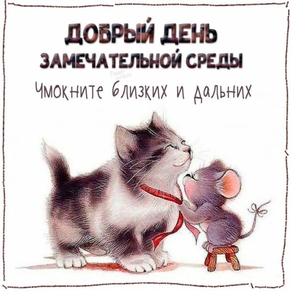 замечательной среды