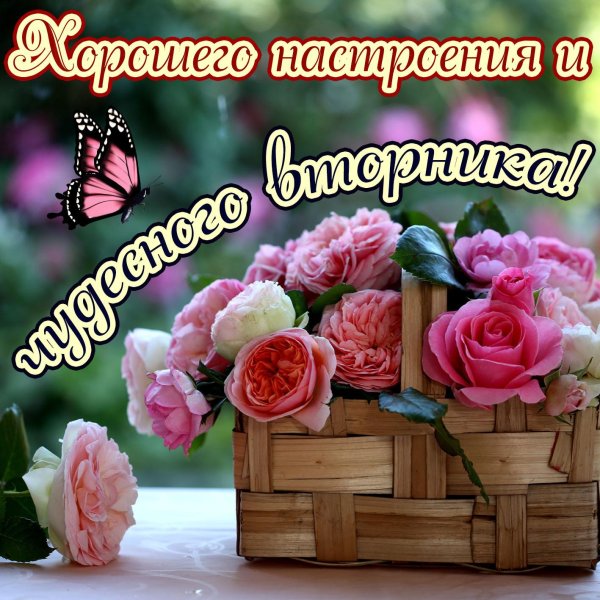 открытка хорошего настроения