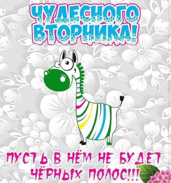 классного вторника