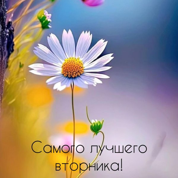 доброе утро вторник красивые