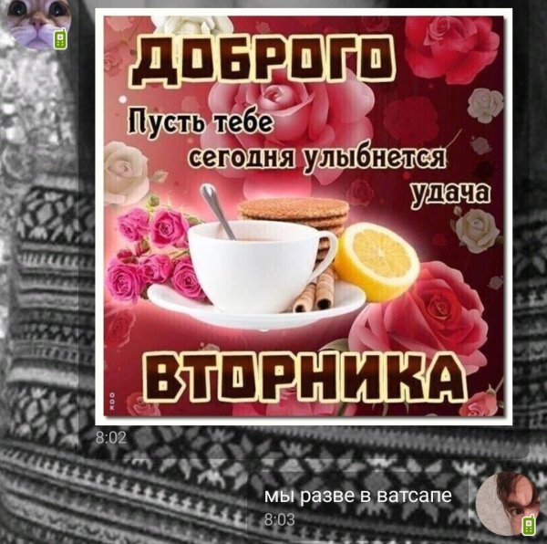 доброе утро во вторник