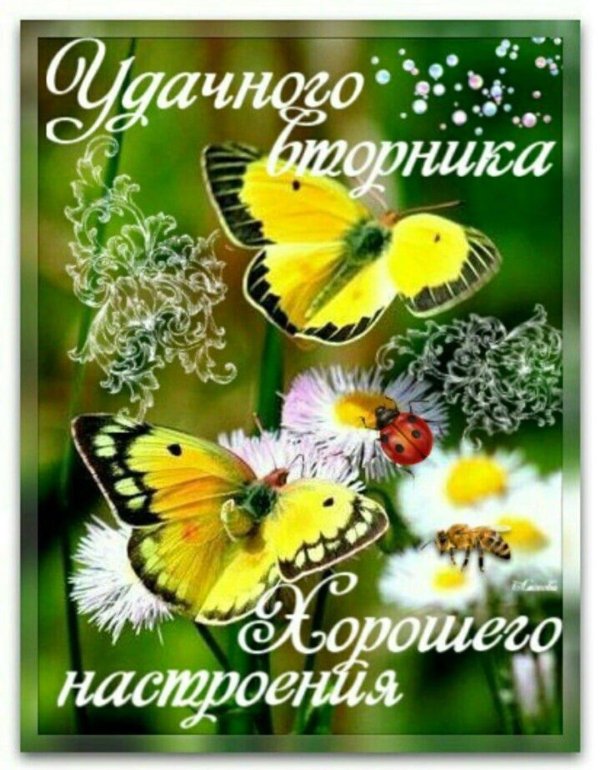 хорошего дня и отличного настроения