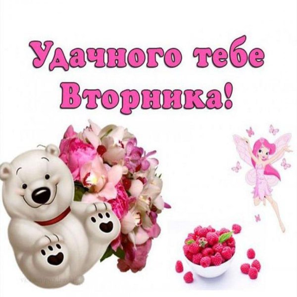 успешного вторника