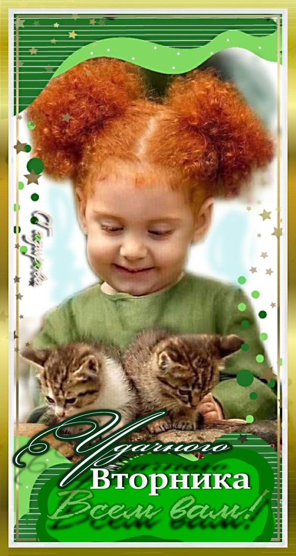 вторник открытка