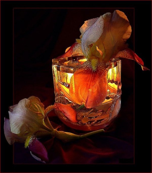 добрый вечер необычные