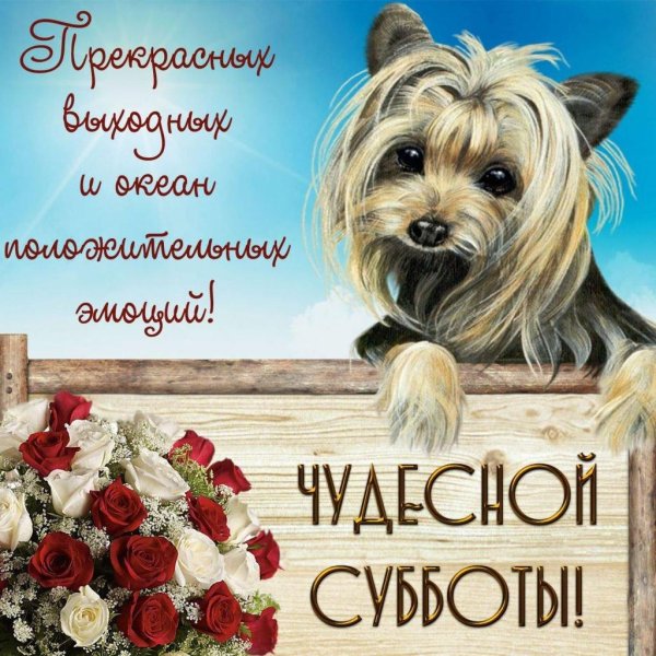 пожелание хорошей субботы