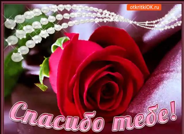 открытка спасибо