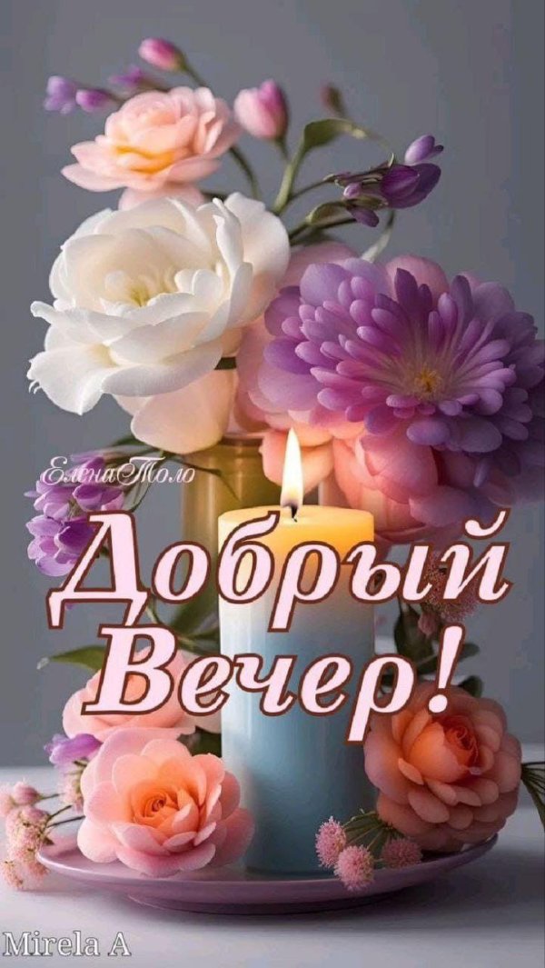 цветы вечер