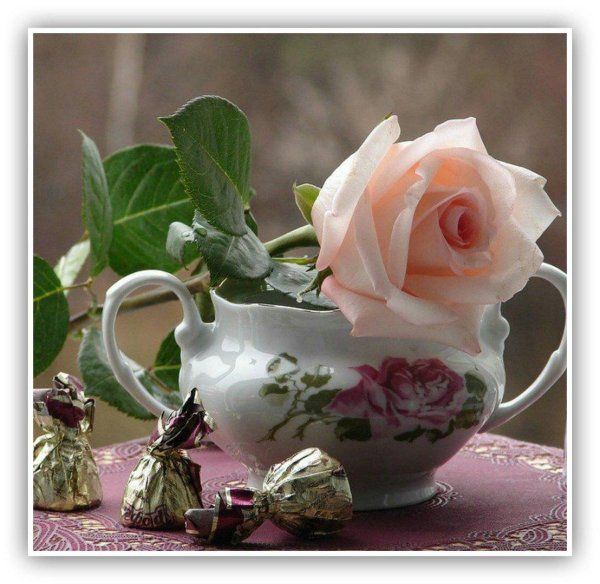 розы натюрморт