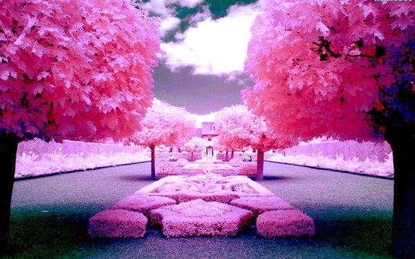 инфракрасные снимки