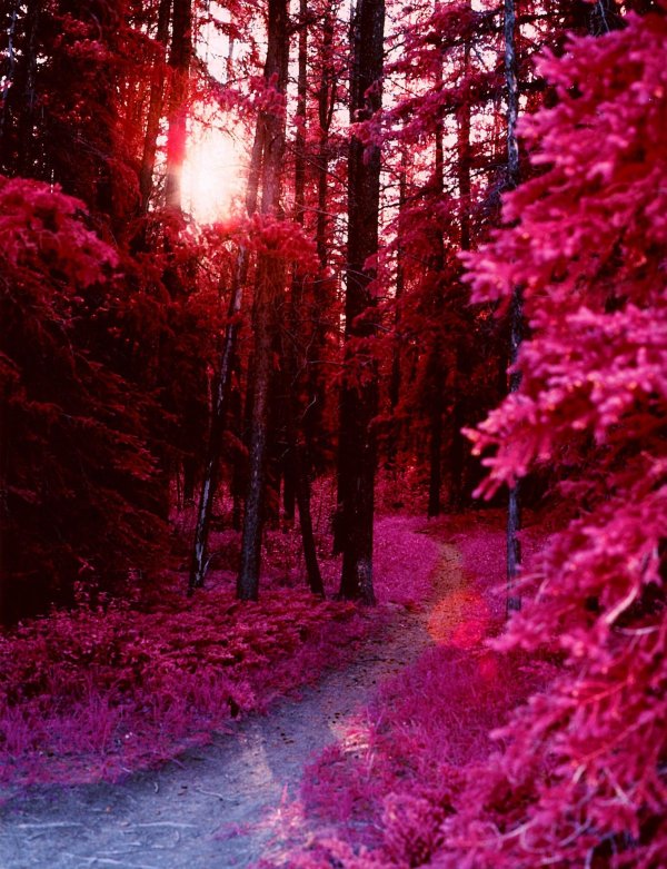 природа пейзаж