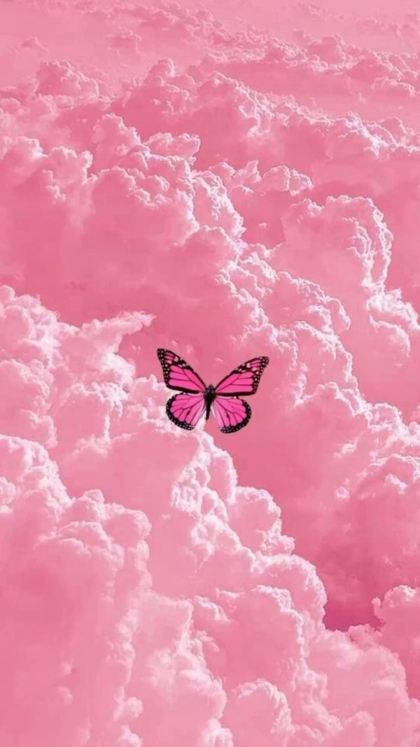 розовое небо