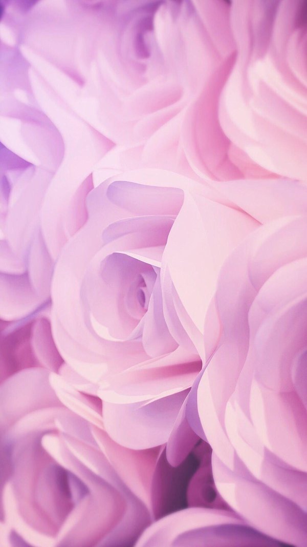 цветочные фоны