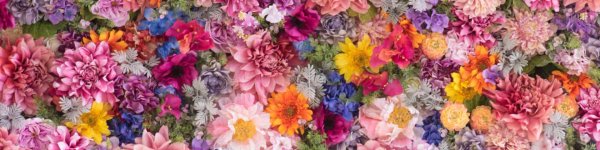 фон цветочный