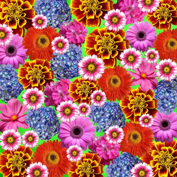 Яркие с цветами