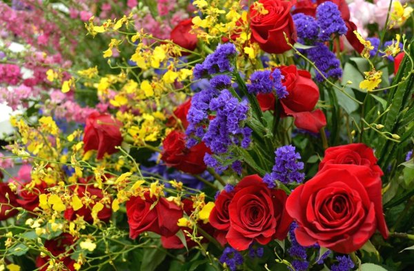 цветы красивые букет