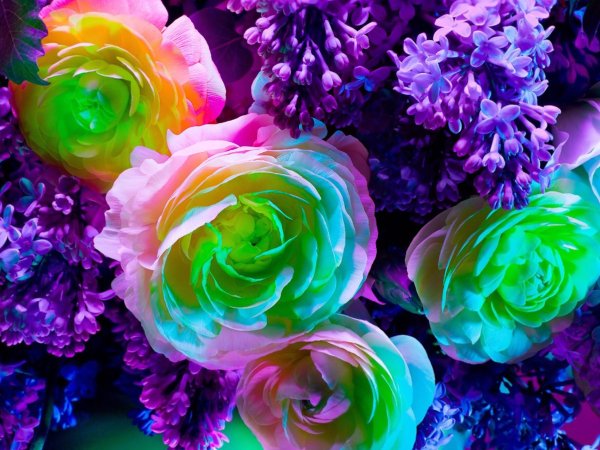 Яркие с цветами