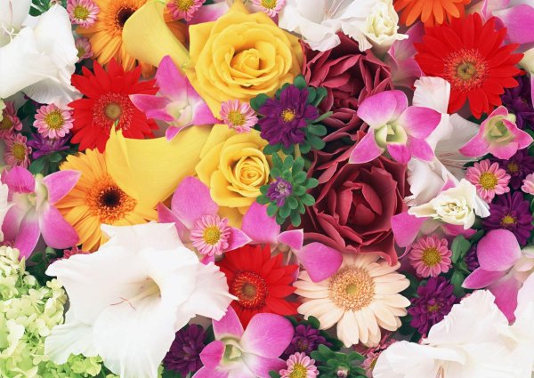 цветы разные