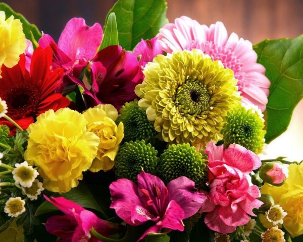 букет красивый цветов