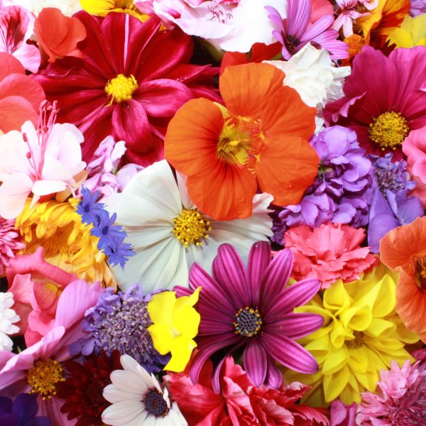 разные цветочки