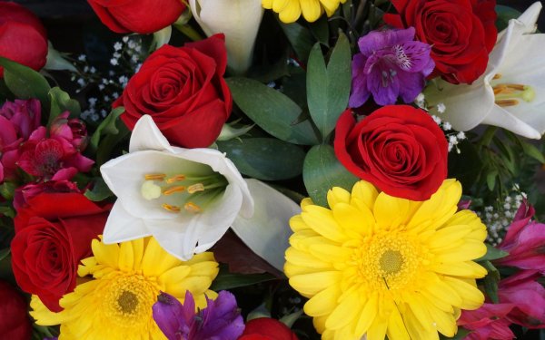 букет разных цветов