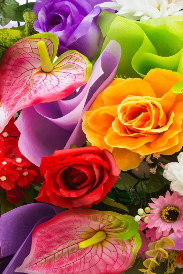 красивая цветы