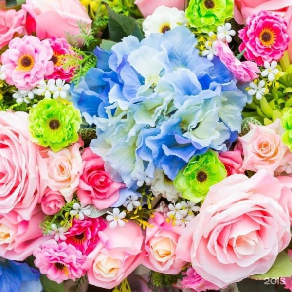 букет разноцветных цветов