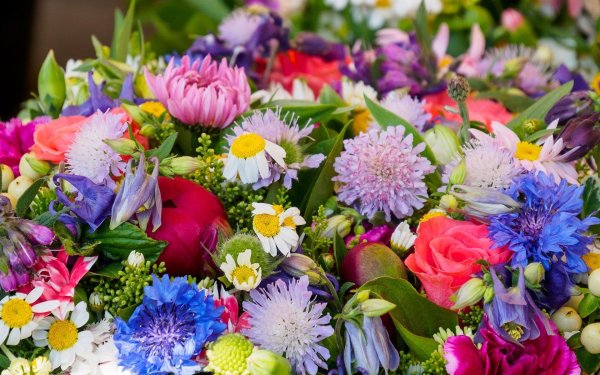 букет красивый