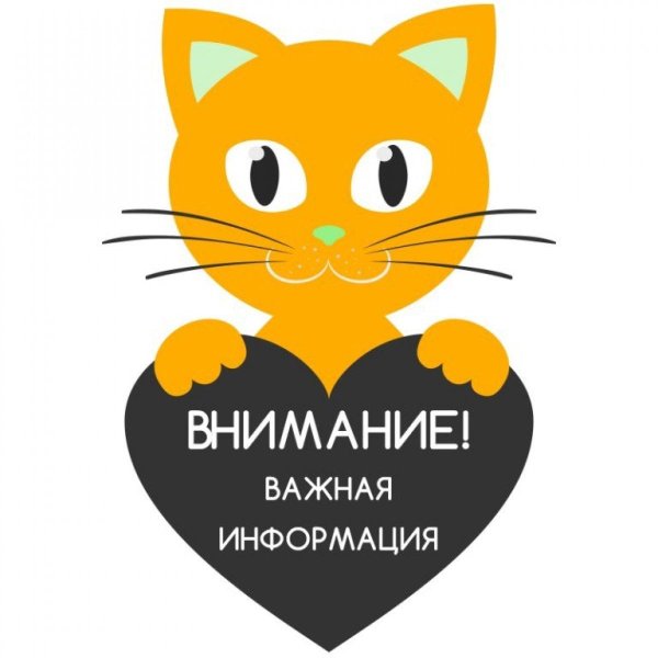 минуточку внимания