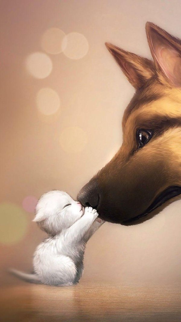 красивые рисунки животные