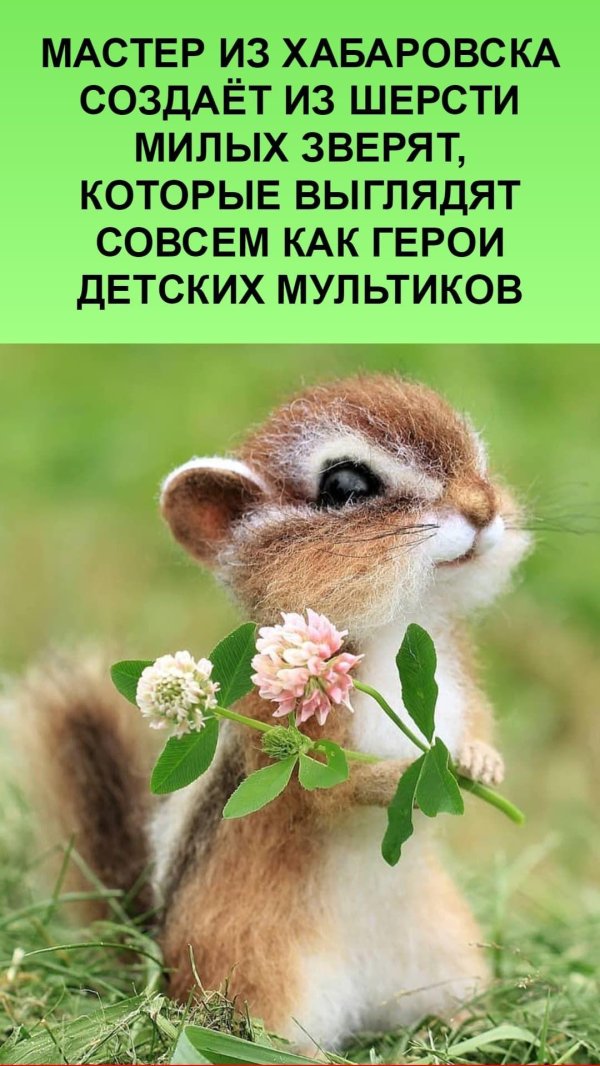 длинноухий бурундук